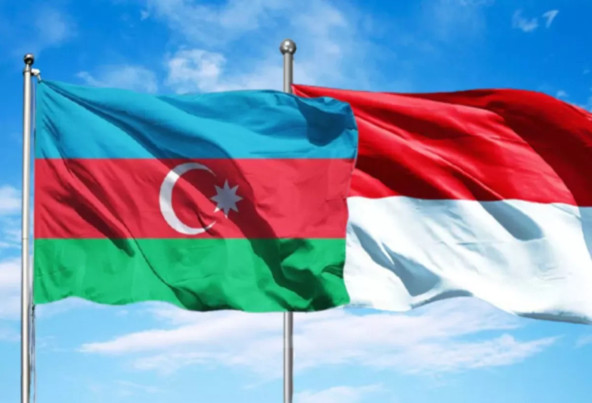 Azerbaijan, Indonesia eye expanded medical cooperation PHOTO