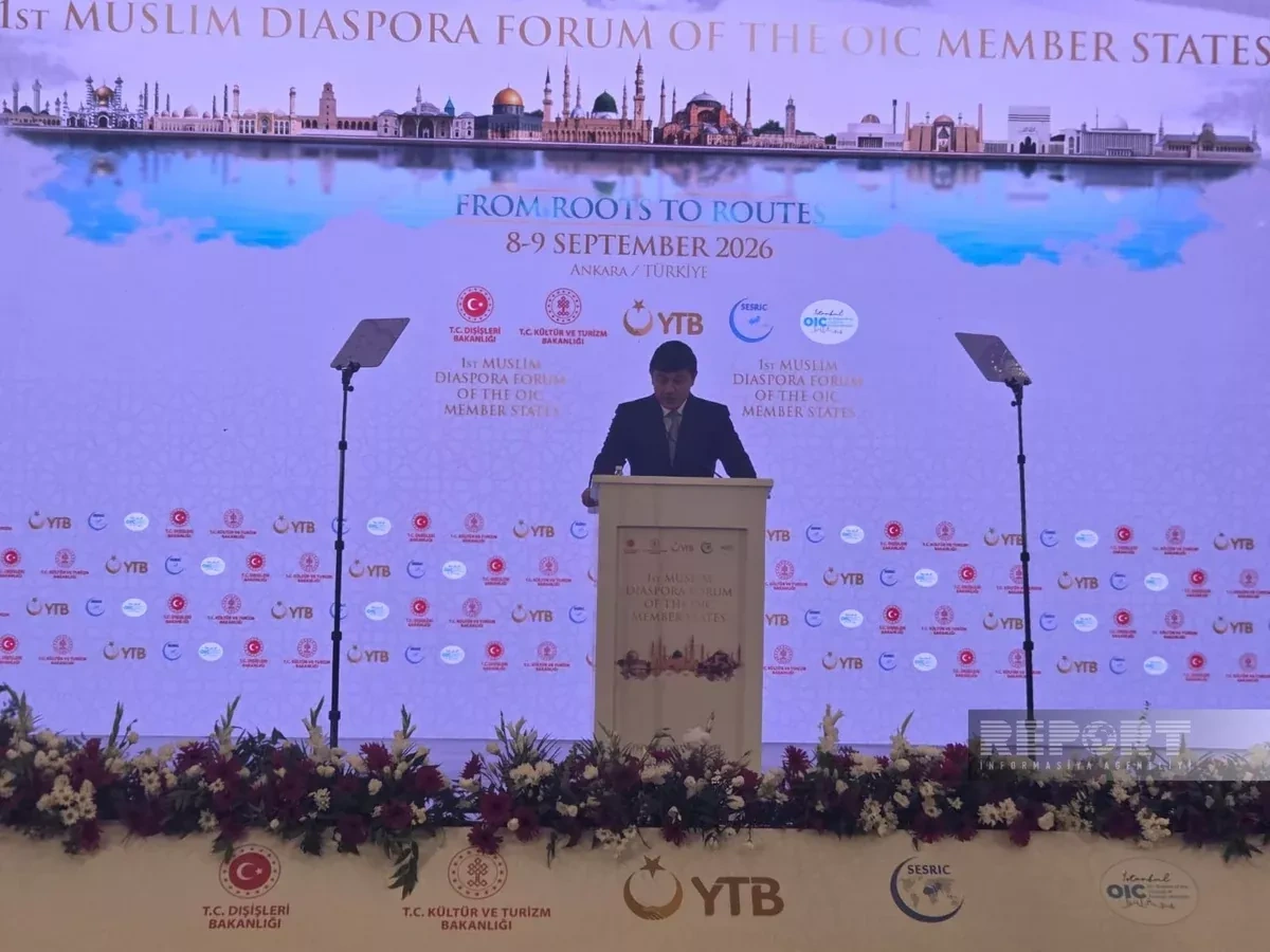 Azerbaijani president supports stronger ties with diaspora, official says PHOTO