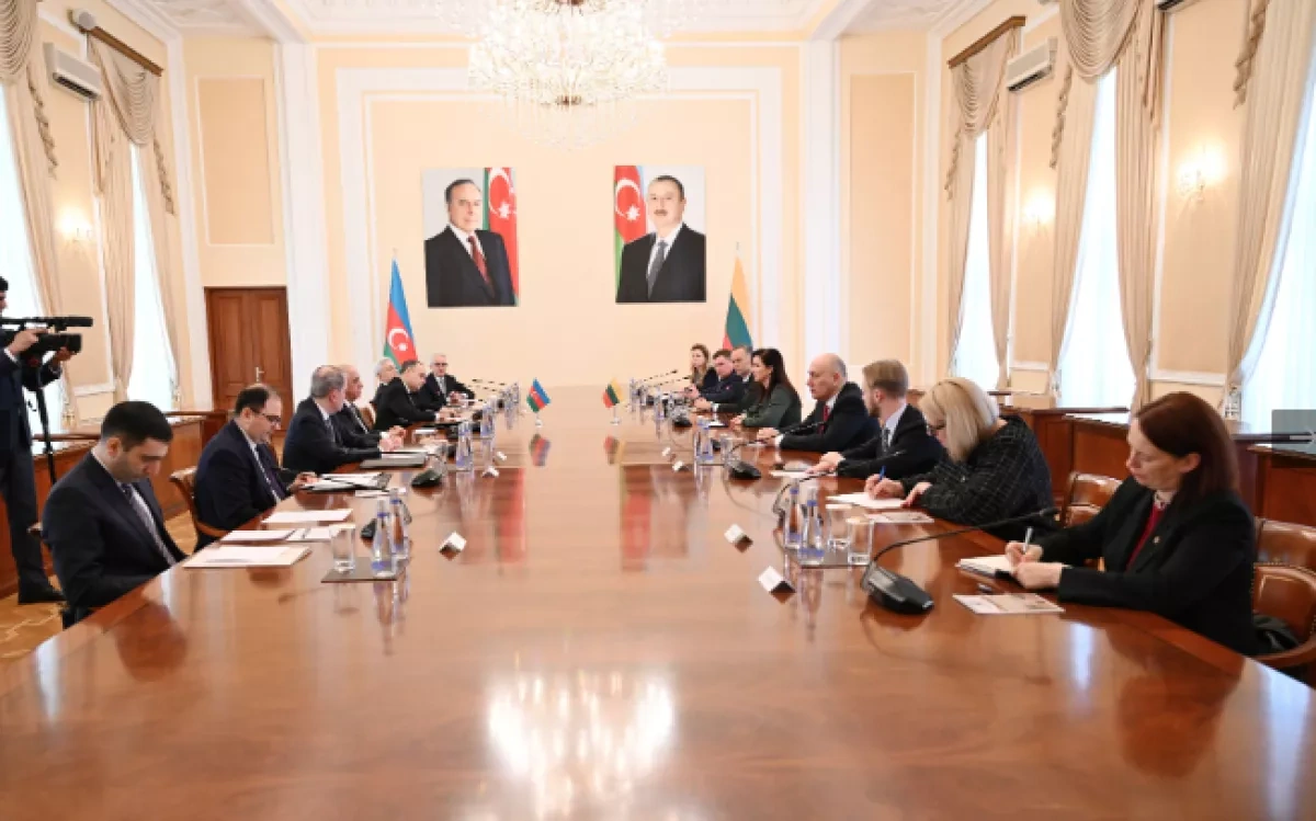 Azerbaijan, Lithuania explore cooperation on Middle Corridor