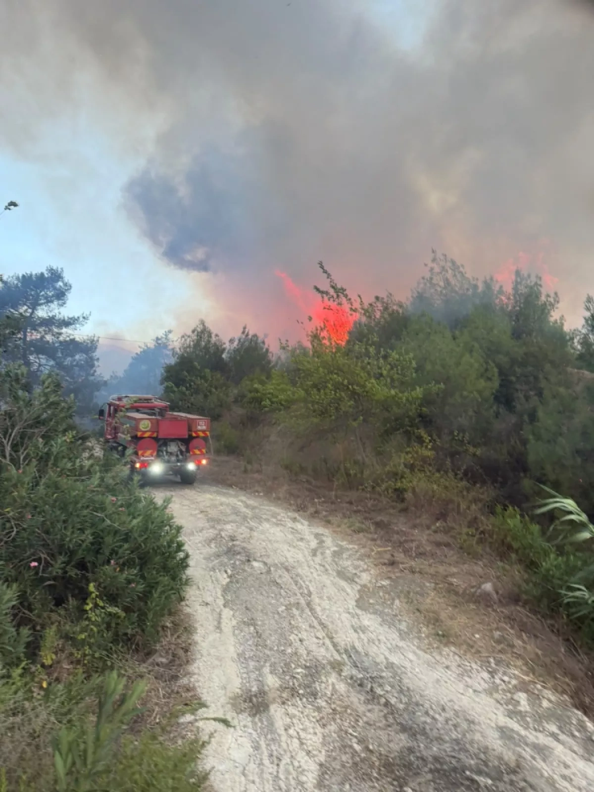 Türkiye fights two wildfires as strong winds fuel flames in Adana PHOTO