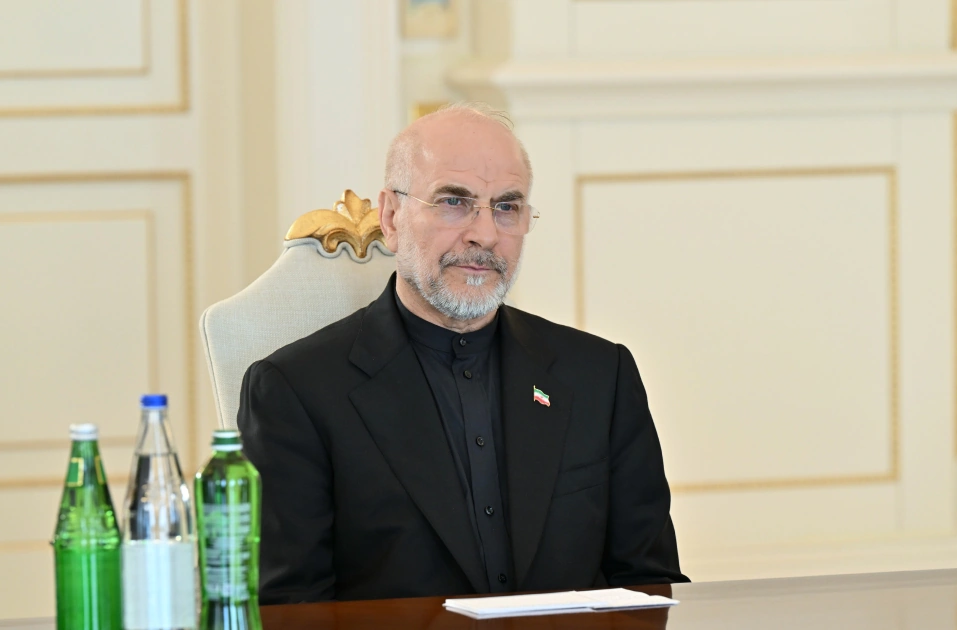 President Ilham Aliyev receives delegation led by Chairman of Islamic Consultative Assembly of Iran (PHOTO)