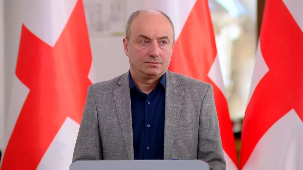 Georgia’s former ruling party nears breakdown, MP says