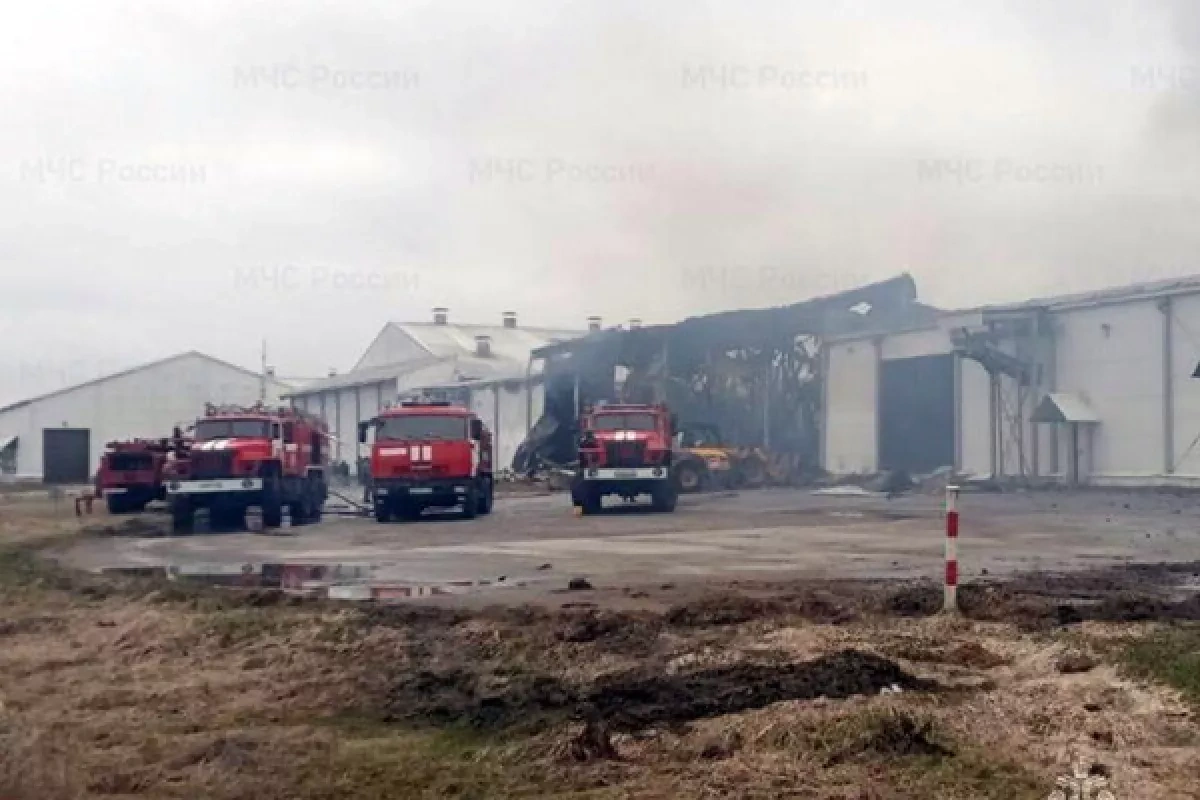 Russia says drone strike hit Miratorg facility in Bryansk region