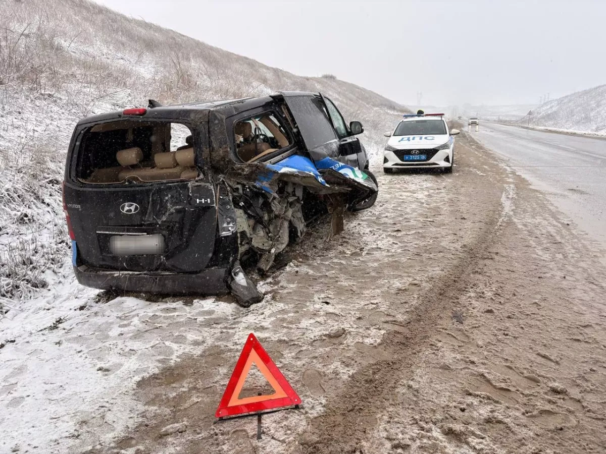 Six injured, including five children, in minibus crash in Russia