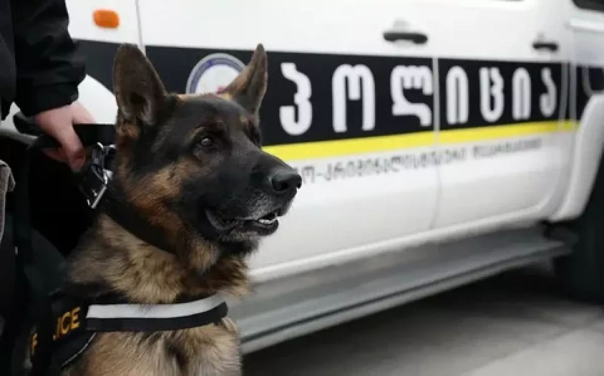 Georgia arrest Russian citizen over cocaine possession at Tbilisi airport