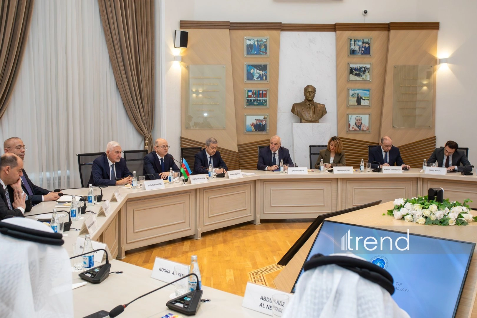 Azerbaijan and UAE discuss development of energy cooperation (PHOTO)