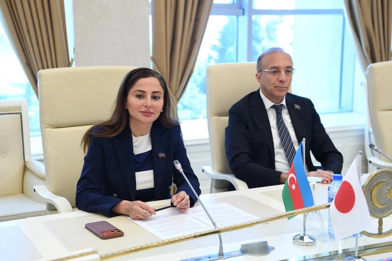 Azerbaijan and Japan discuss inter-parliamentary relations (PHOTO)