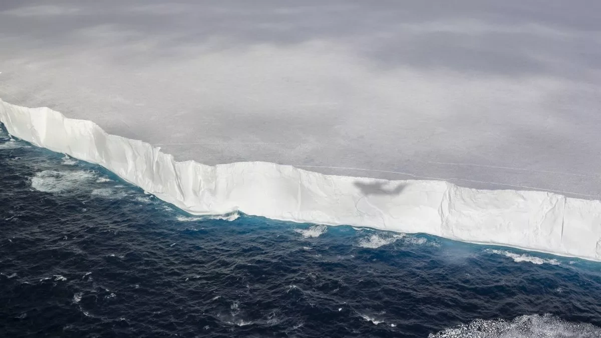 World’s largest iceberg A23a disintegrates after decades adrift
