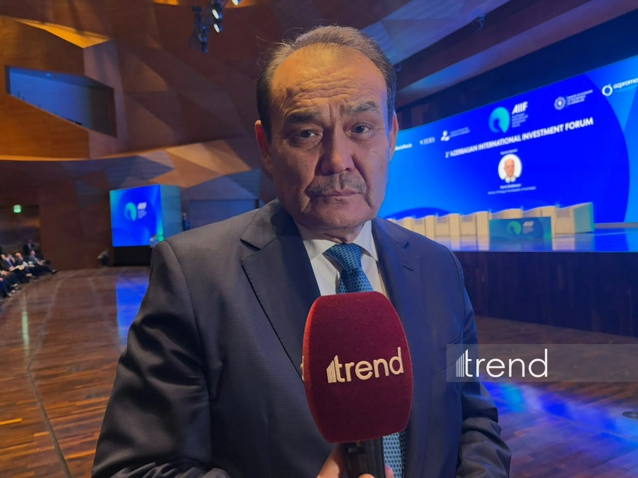 Turkic States Development Bank may emerge in future - TIF head