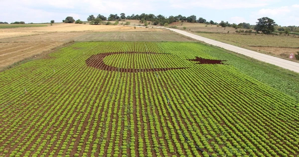 Türkiye sees rise in agricultural input price index
