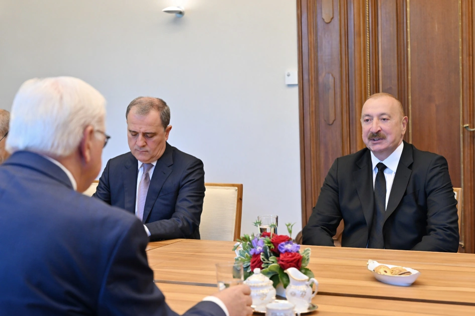 President Ilham Aliyev and German President Frank-Walter Steinmeier hold expanded meeting (PHOTO)