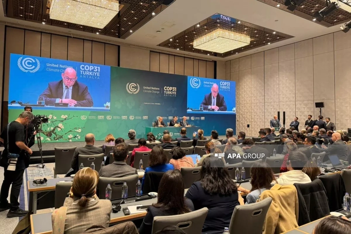UN climate chief commends Azerbaijan’s COP29 leadership