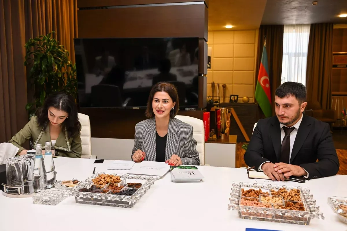 Azerbaijan, CECECO explore opportunities for closer youth cooperation PHOTO