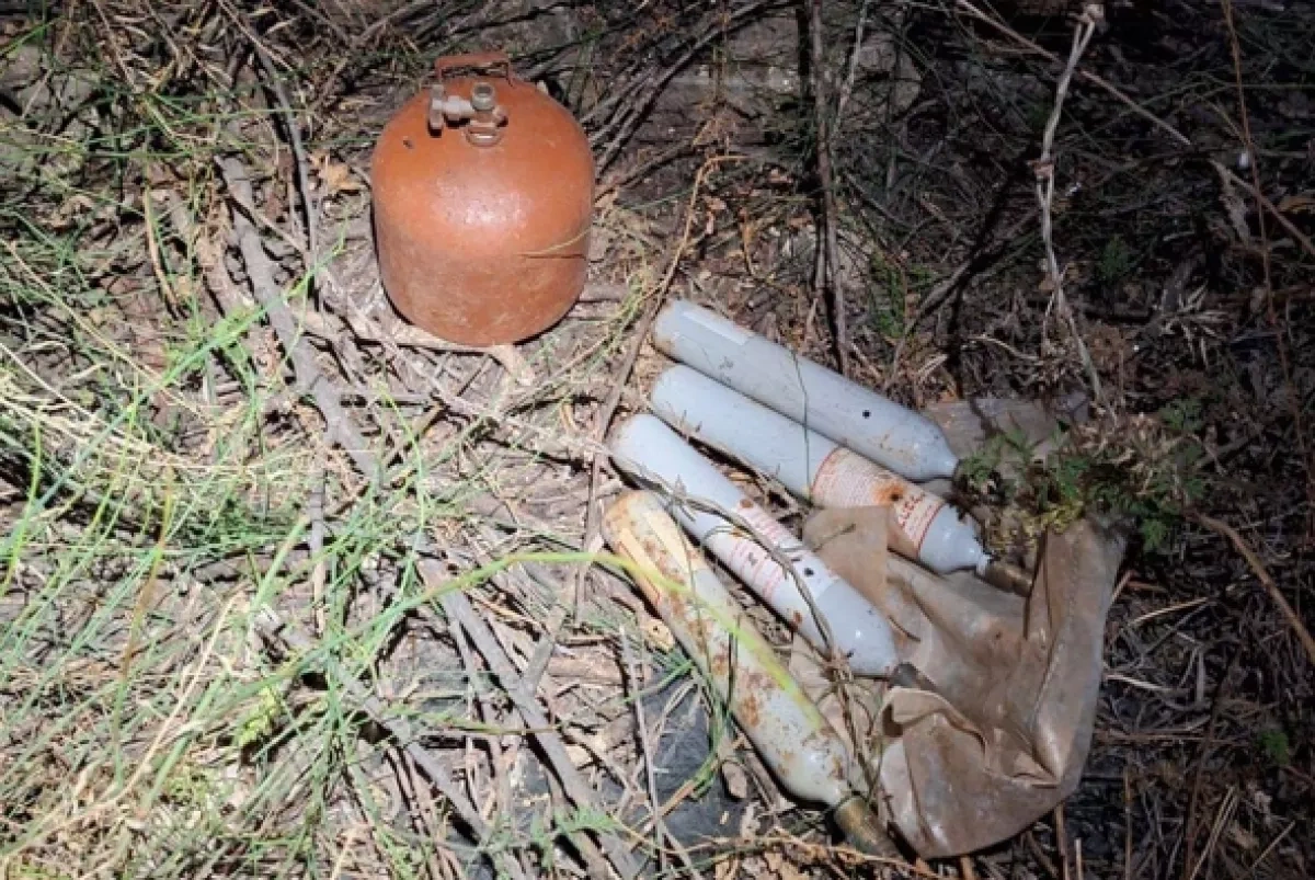 Israeli forces detain over 80 suspects, seize weapons in Samaria PHOTO
