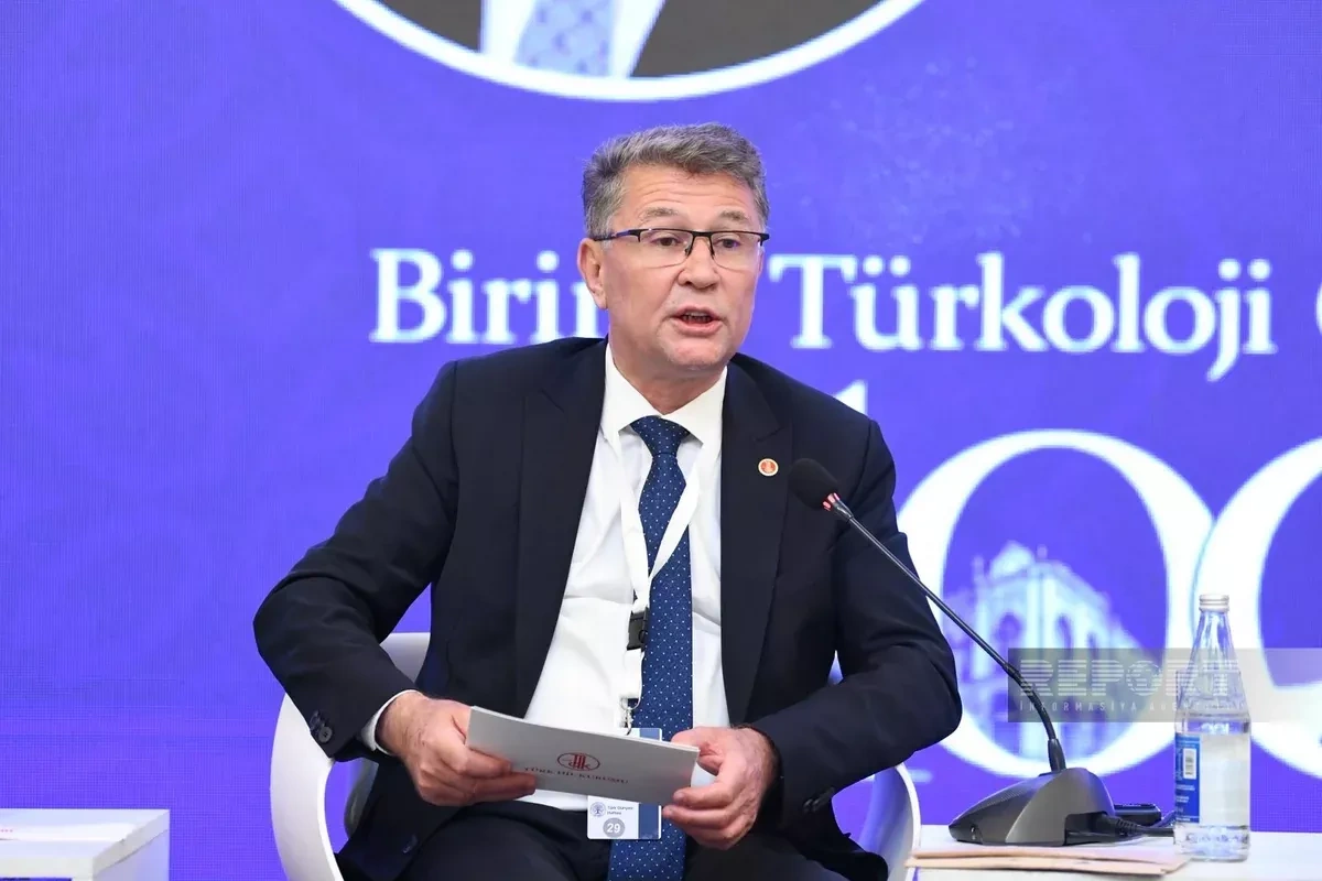 Turkic states need unified language framework, linguistic society chief says
