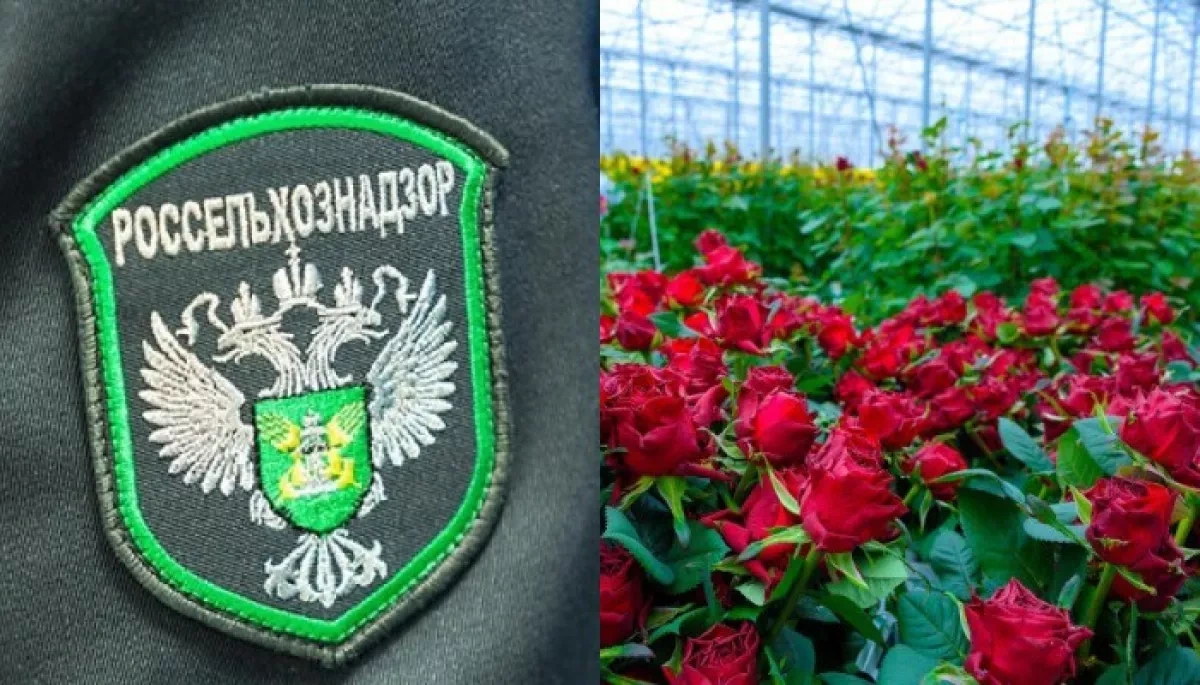 Russia questions Armenian Economy Ministry's competence