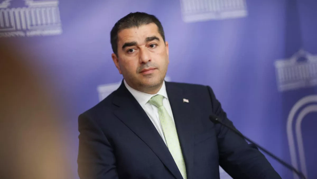 Georgian speaker urges European leaders to "come to their senses"
