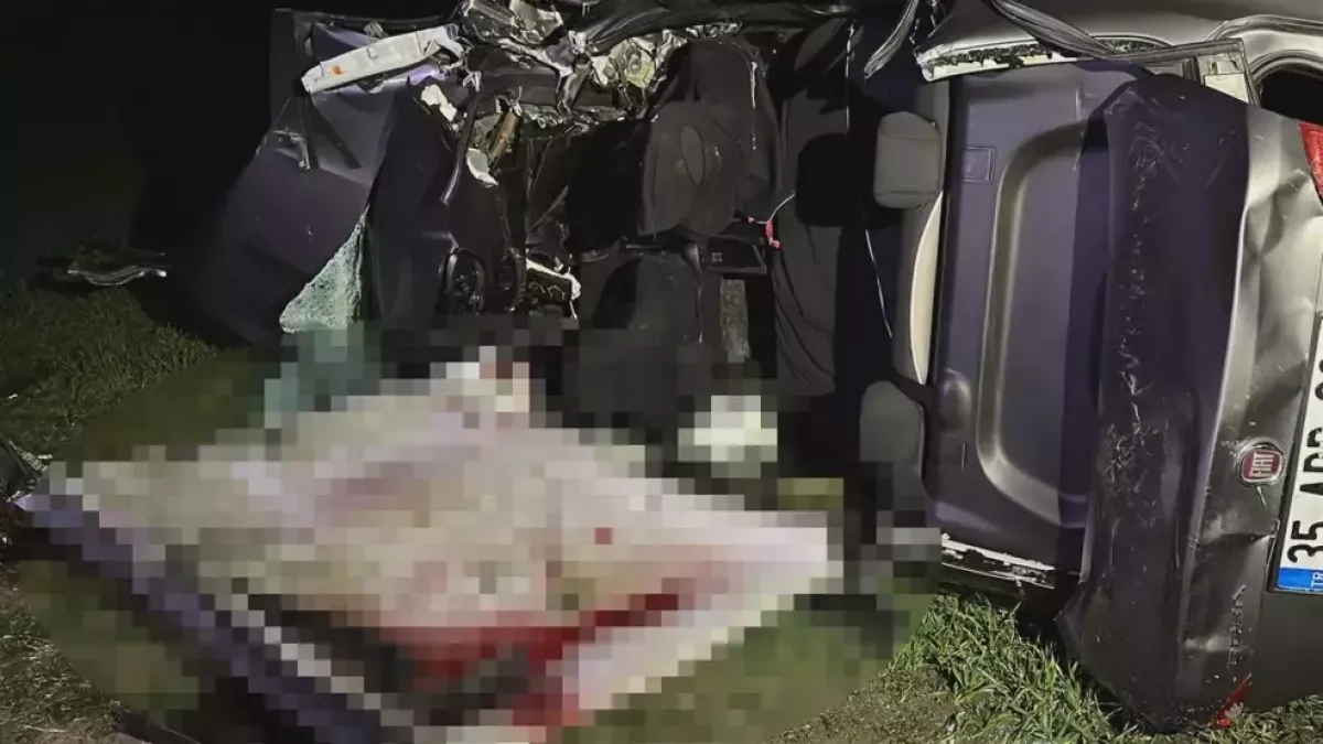 Five dead, one injured in serious accident in Çanakkale, Türkiye PHOTO
