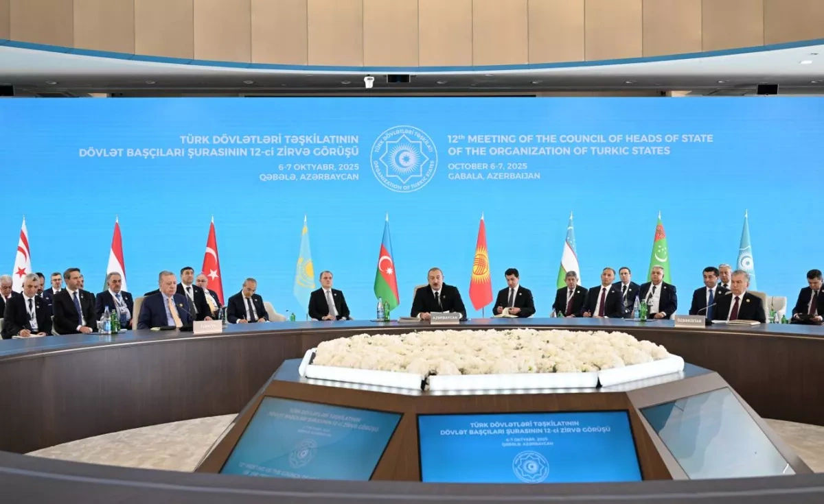 Turkic world: Common roots, shared interests, collective security Overview by Teymur Atayev