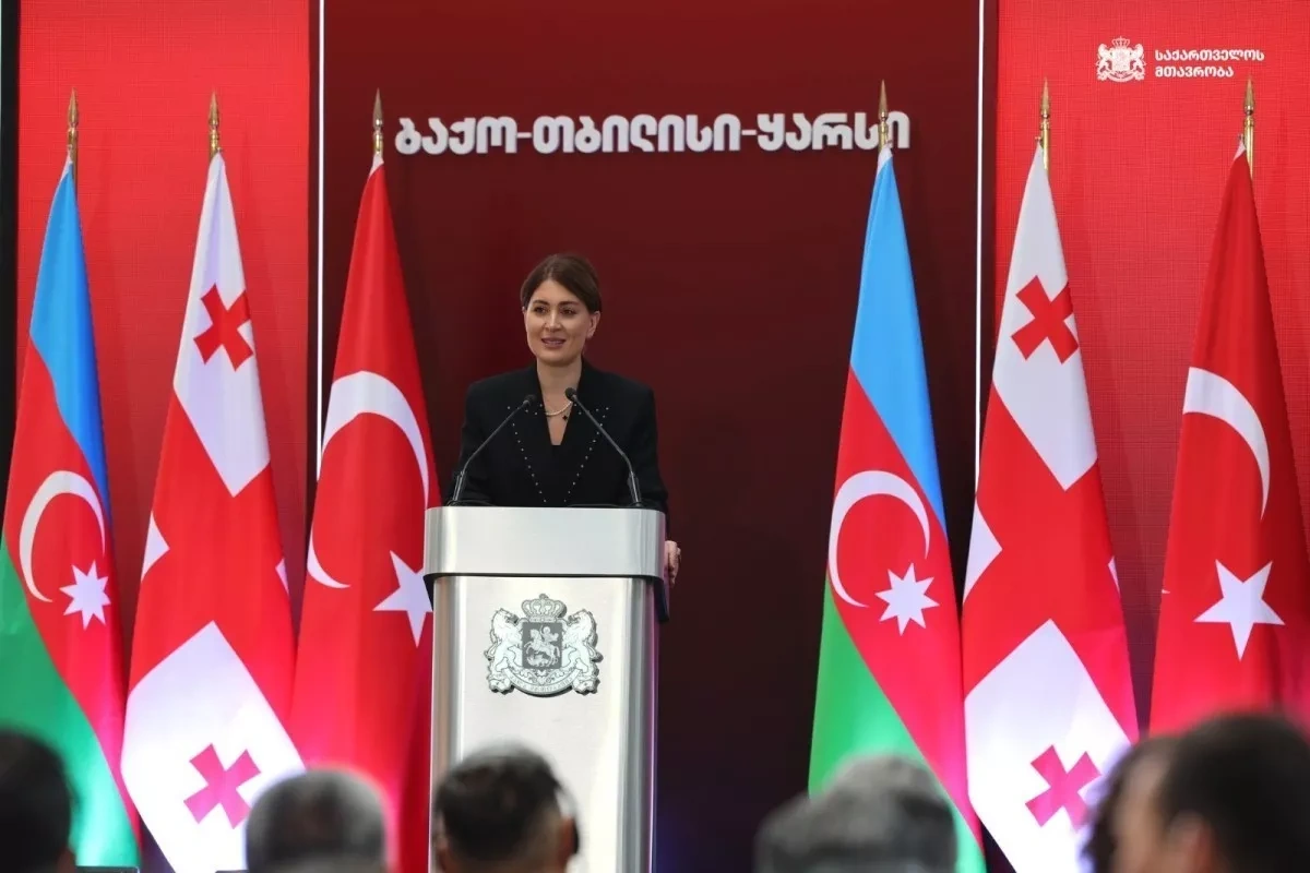 Middle Corridor no longer alternative route, Georgian official says