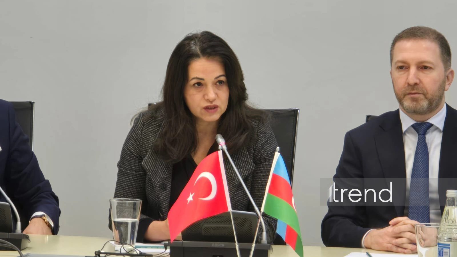 Türkiye targets mutual concession-based free trade agreement with Azerbaijan - official