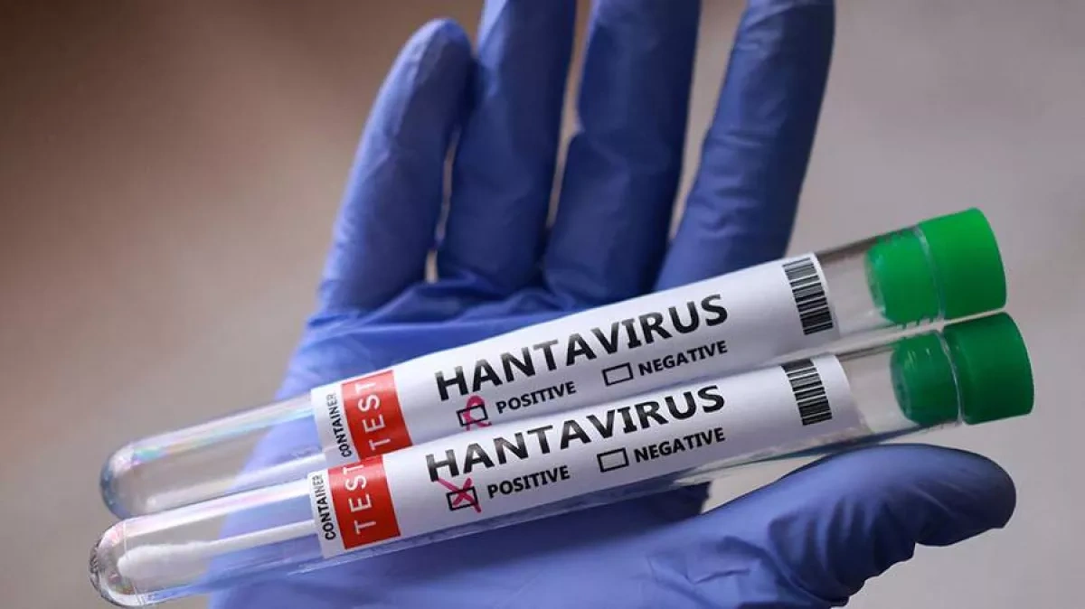 Could Hantavirus trigger next health crisis in Europe?  Outbreak risk under scrutiny