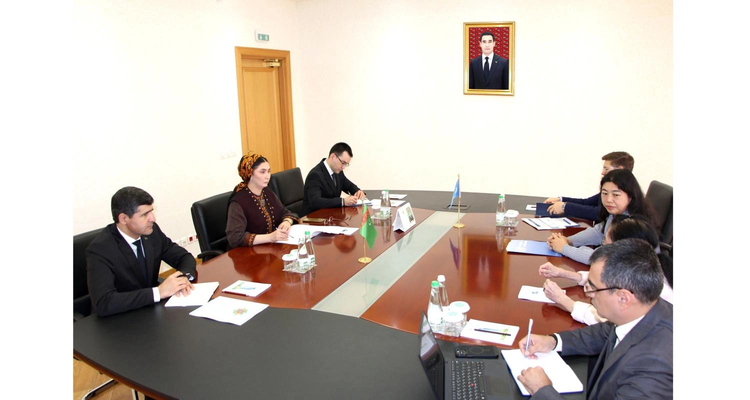 Turkmenistan, UN discuss implementation of joint programs