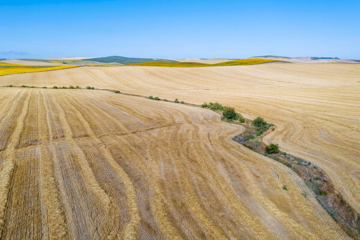 Extreme heat devastates crops, livestock across France, minister warns