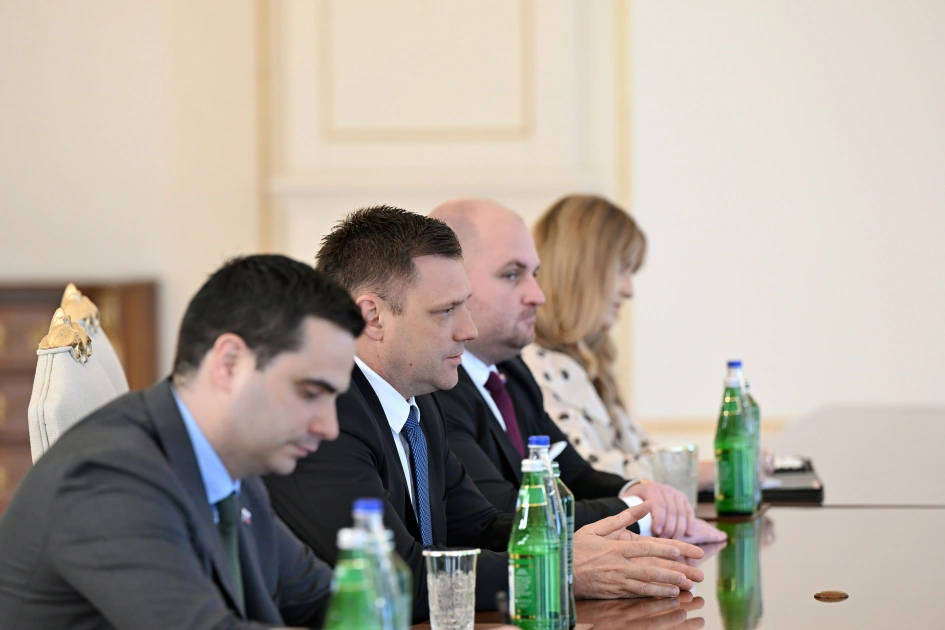 President Ilham Aliyev receives Deputy Prime Minister of Slovakia (PHOTO)