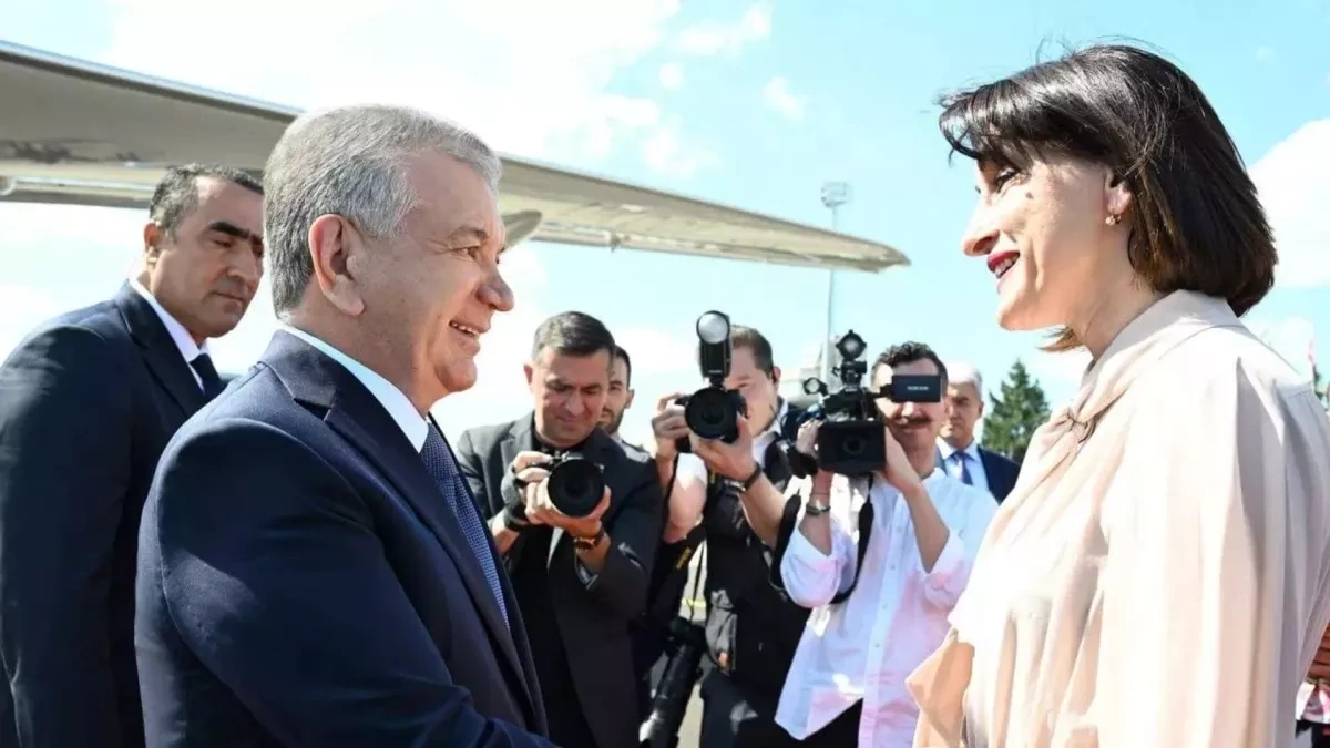 Georgia to establish strategic partnership with Uzbekistan, FM says