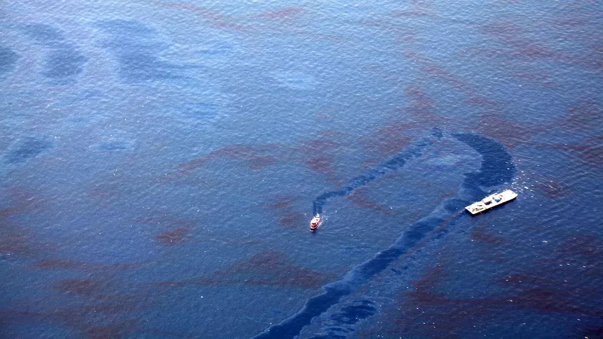 Investigation reveals source of oil leak near Azerbaijan’s Dubendi beach