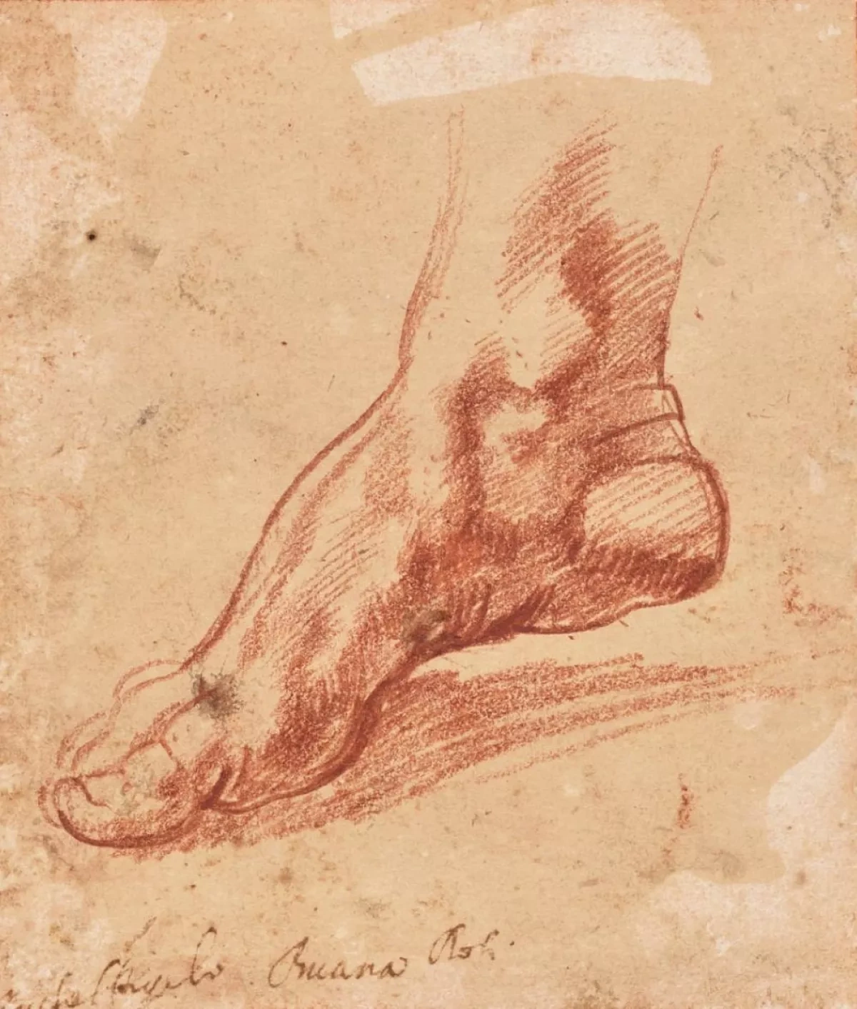 Michelangelo drawing fetches $27.2 million at auction