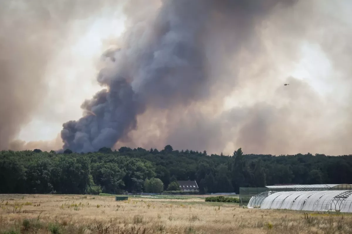 Wildfire in France triggers explosions at buried WWII ammunition depot