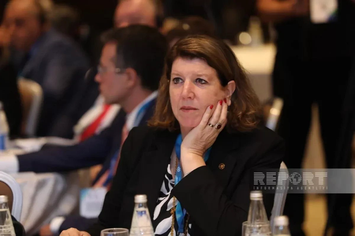 Baku hosts second day of global mine action conference PHOTO