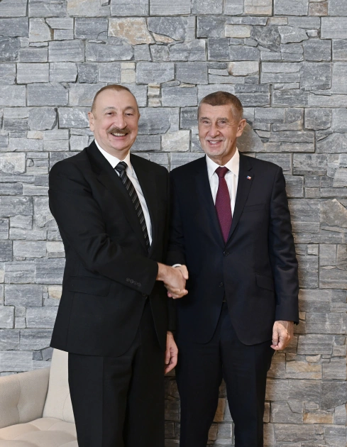 President Ilham Aliyev meets with Czech Prime Minister in Davos (PHOTO)
