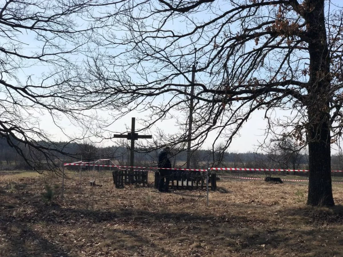 Ukraine, Poland conclude WWII search without finding mass graves photo