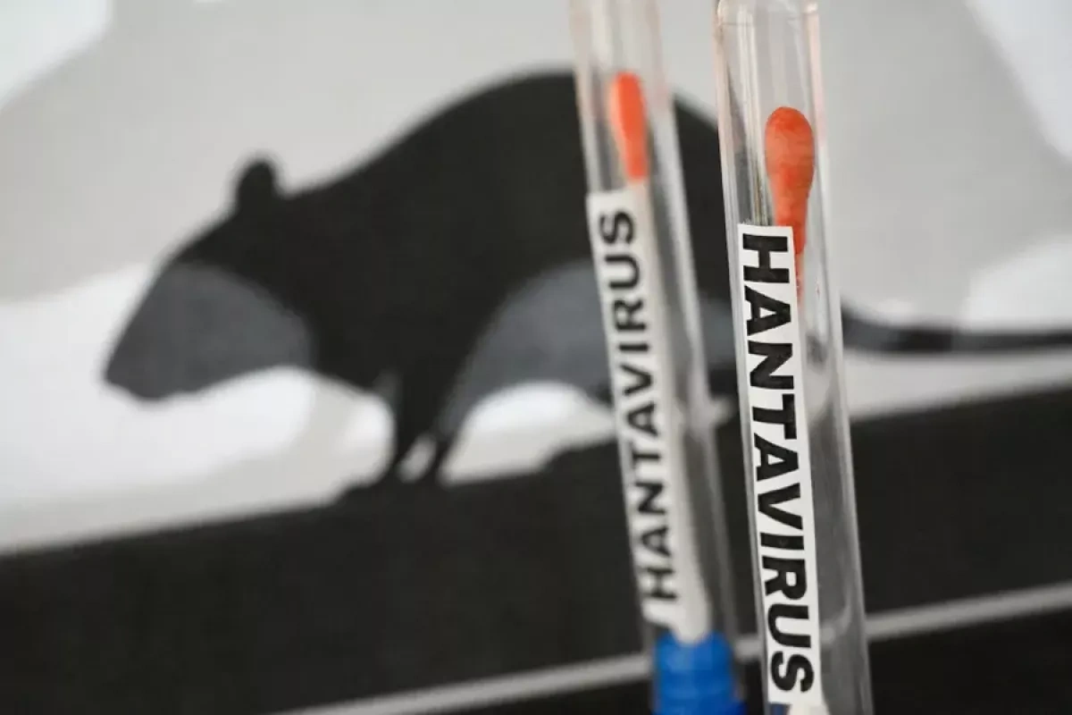 Explainer: What Hantavirus is and how it spreads