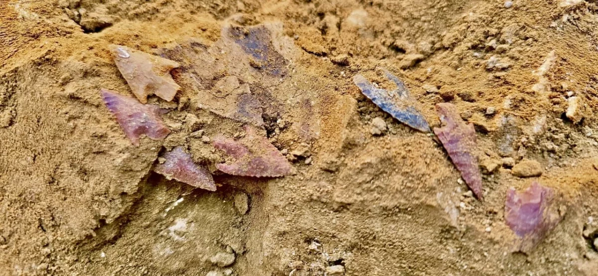 Ancient warrior burial unearthed in Azerbaijan after 3,600 years PHOTO