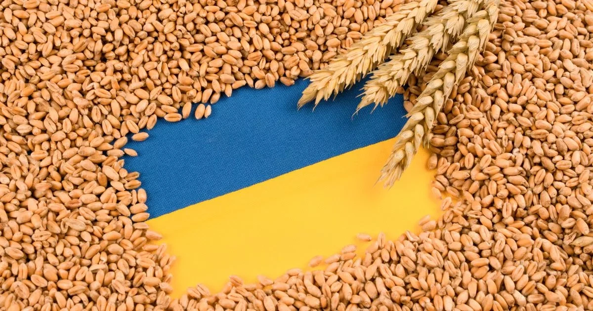 Israeli firm delays “stolen” Ukrainian grain delivery