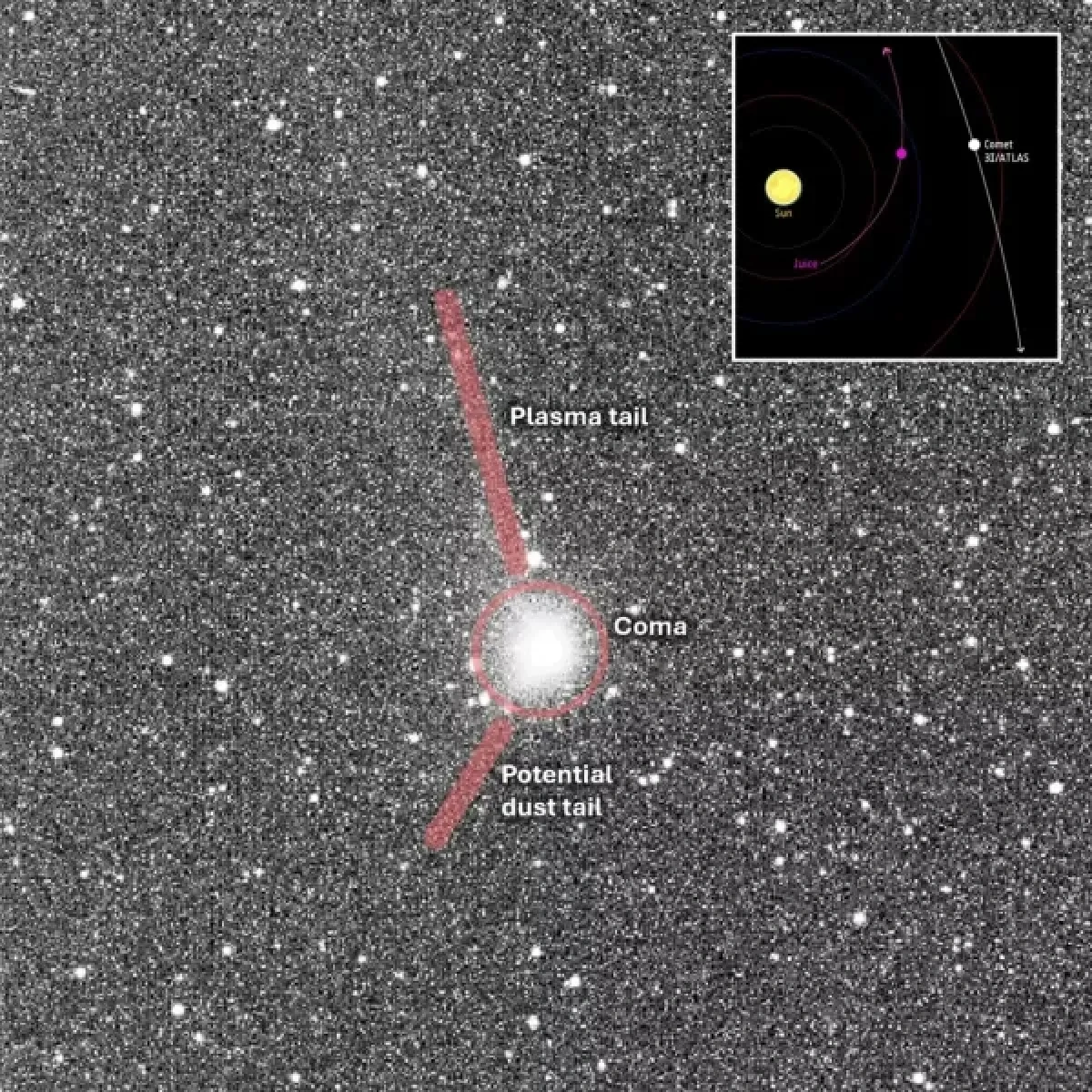Is comet 3I/ATLAS cosmic ally — or "serial killer"? Harvard scientist weighs in