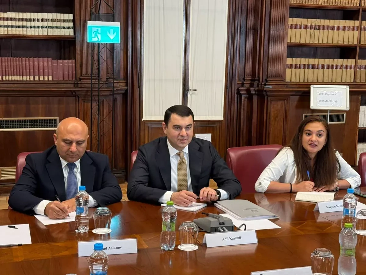 Azerbaijan, Italy discuss cultural heritage preservation, cooperation PHOTO