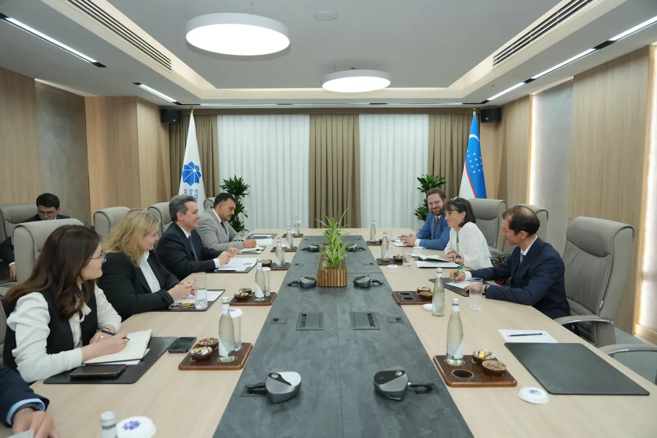 Uzbekistan, European Union discuss expanding digital connectivity co-op