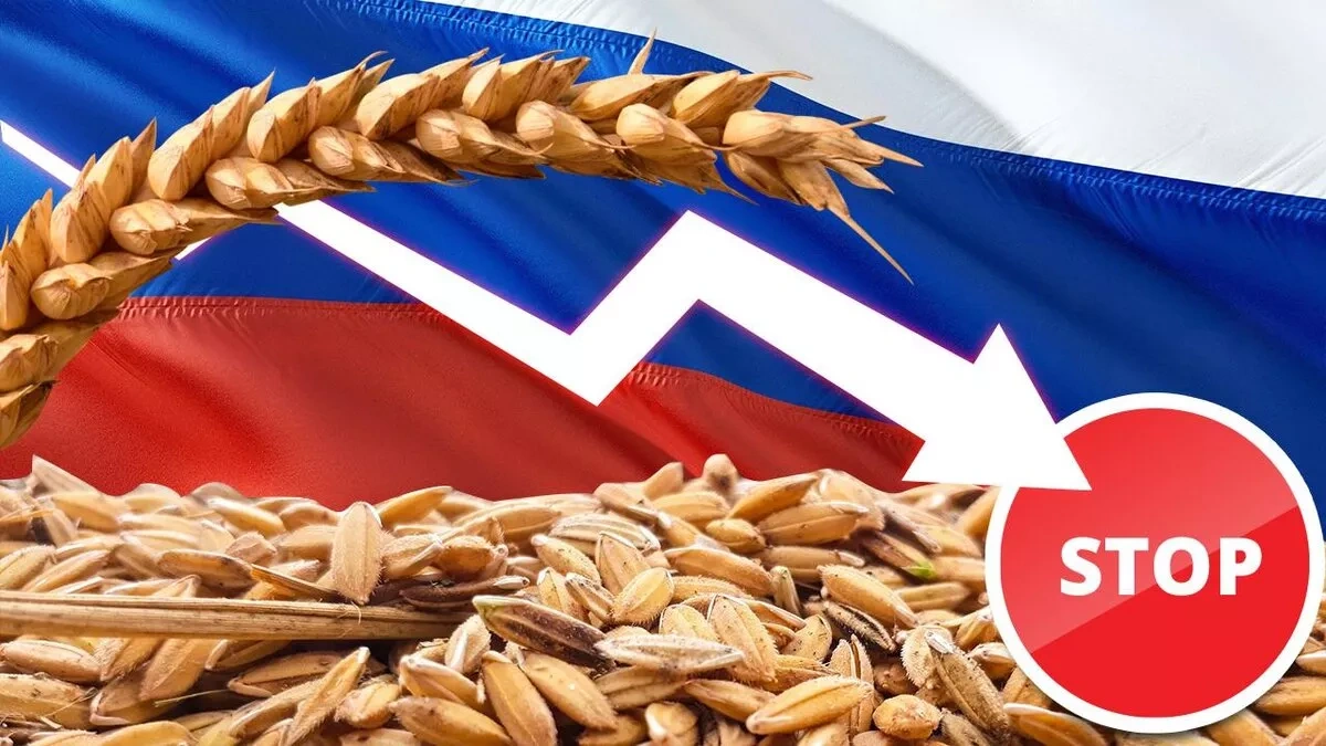Russia to restrict Armenian grain imports over phytosanitary concerns