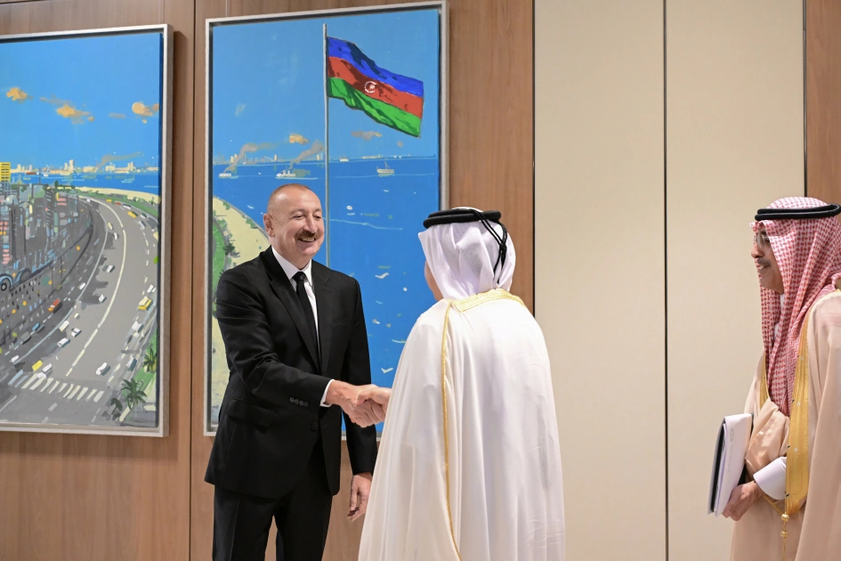 President Ilham Aliyev receives delegation of leaders of member organizations of Arab Coordination Group (PHOTO)