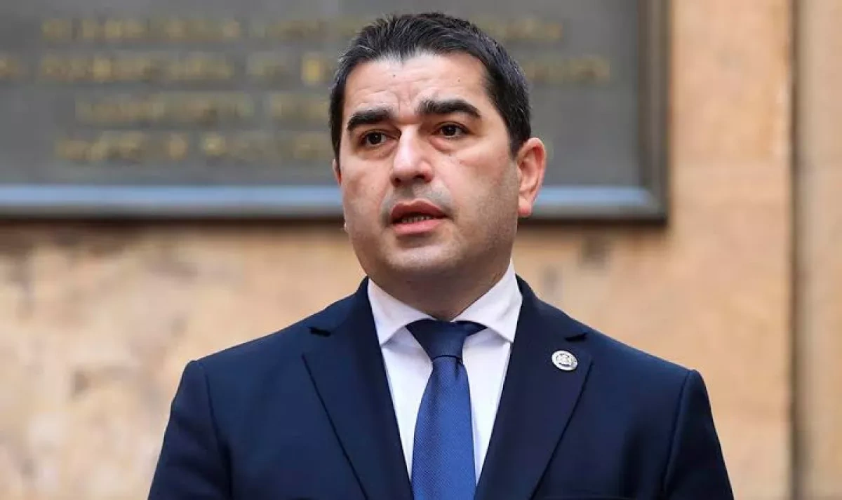 Speaker: Brussels must wake up from “world of illusions” over Georgia