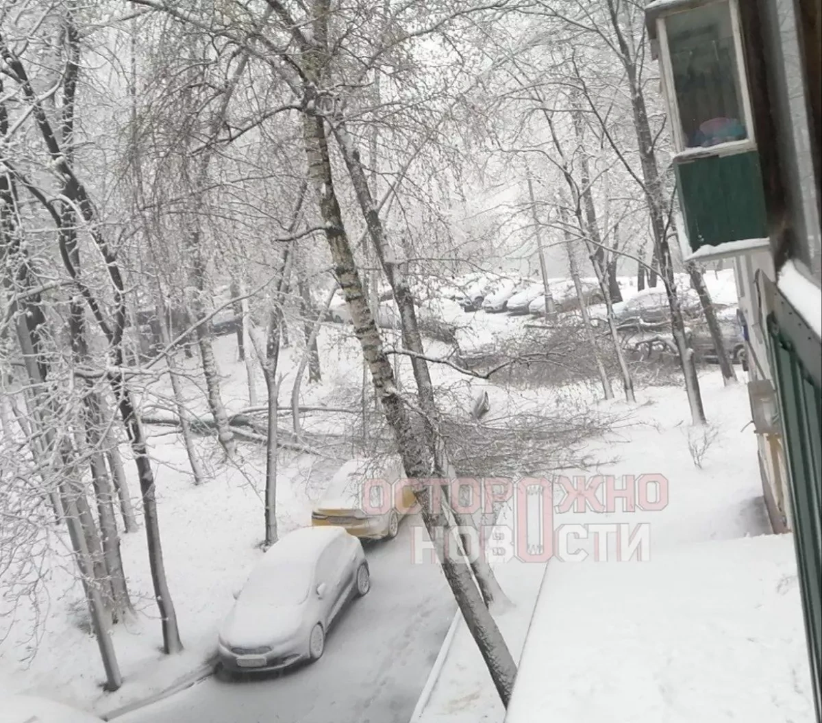 Moscow blanketed in snow amid sudden April weather shift PHOTO / VIDEO