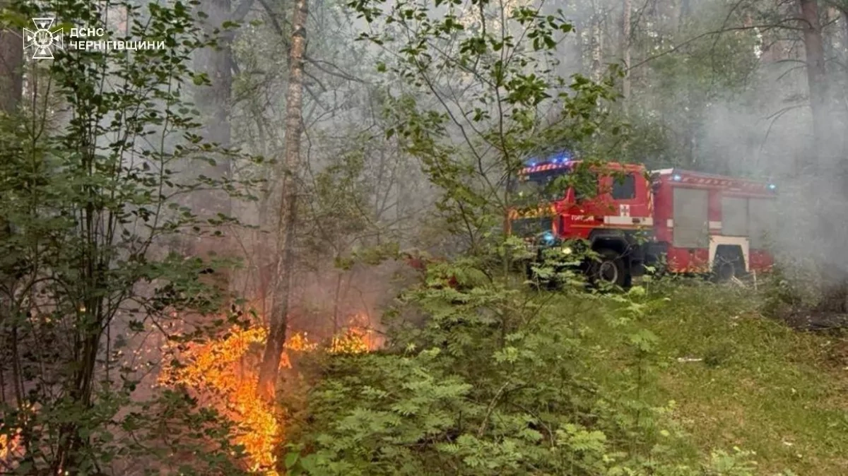 Drone crash sparks 7-hectare fire in Ukraine's Chernihiv region PHOTO