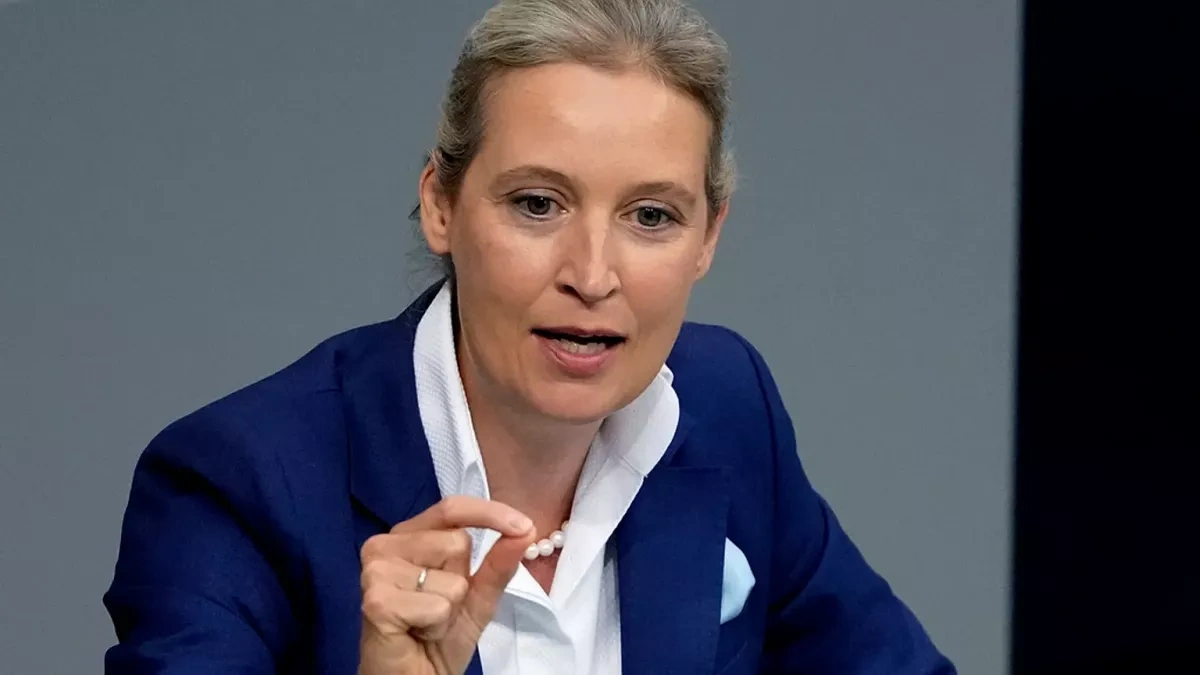 “Idiots or traitors”: Why the AfD’s success has alarmed Poland and Brussels Analysis by Limansky