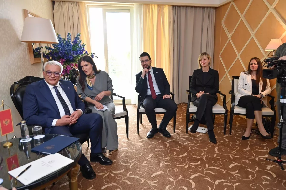 Azerbaijani speaker meets Montenegrin counterpart amid talks on regional peace PHOTO