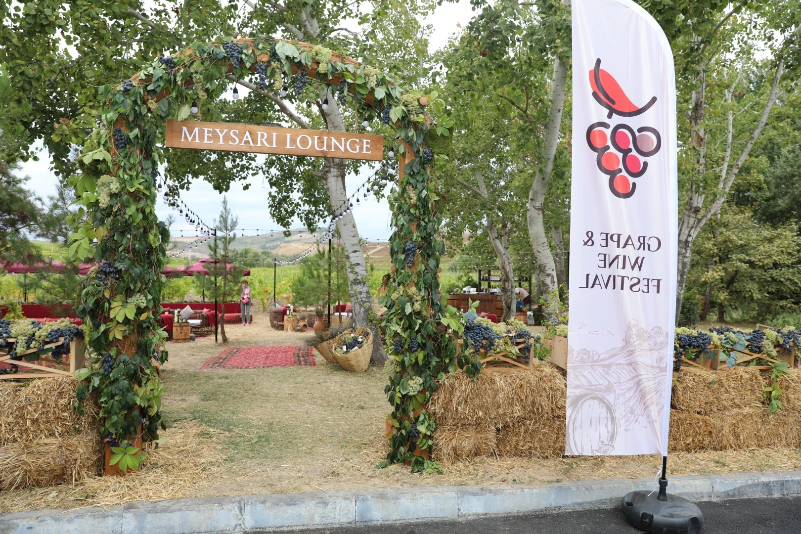 Grape and Wine Festival underway in Shamakhi (PHOTO)